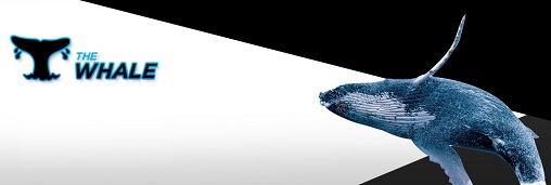 The Whale at 888poker